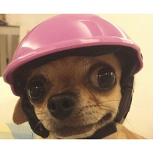 Handsome Biker Hat Pets Helmets Ridding Cap Safe Hats ABS Doggie Puppy Motorcycle Protect for Sports Dog cat Pets 2024 - buy cheap