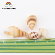 Natural Spiral Shell Loose Beads For Decoration Jewelry Making DIY Accessories 19-25mm 50pcs 2024 - buy cheap