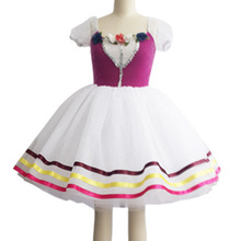 Kids Girl Dress Child Ballet Dress Professional Dance Performance Wear Leotard Costume Ballet Dress for Children Ballet Tutus 2024 - buy cheap