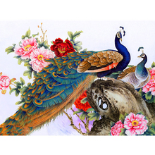 Diamond Embroidery pattern Full Square Round Cross Stitch Peacock Rubik's Cube Animal Diamond Painting DIY Mosaic Needlework 2024 - buy cheap