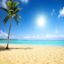 Fondo fotográfico con temática de playa Tropical, palmera, paisaje costero de arena, fondos para fotografía de boda para estudio de vacaciones de verano 2024 - compra barato