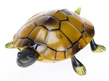 New Arrival IR RC Tortoise Simulative Remote Control Animal With Lighting Electric Toy Funny Christmas Kids Gift Hot 2024 - buy cheap