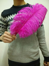 Penas de avestruz rosa 50 peças, 14-16 polegadas/35-40 cm, decorações de casamento faça você mesmo 2024 - compre barato