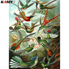 HYY-pintura de diamante 5D DIY, bordado de pájaros de colores, decoración de mosaico de punto de cruz, Cuadrado/redondo 2024 - compra barato