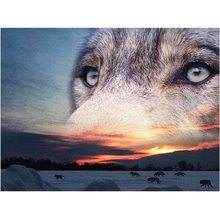 Dpsprue 5D Full Square Round DIY Diamond Painting Cross Stitch Cool Wolf Eye 3D Embroidery Diamond Mosaic Home Decoration Gift 2024 - buy cheap