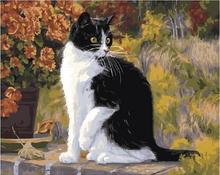 Imagen de gato blanco y negro Kits de pintura por números pintura abstracta por número pintura al óleo dibujos en lienzo 2024 - compra barato