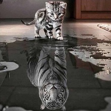 Cat cartoon animal tiger new arrival DIY Crystal full drill square 5D diamond painting cross stitch kit mosaic round rhinestone 2024 - buy cheap