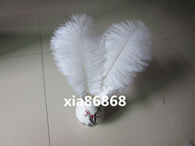 Free Shipping-100 pcs 6-8inch(15-20cm) white Ostrich Feather for wedding decor party table decor event supplies 2024 - buy cheap