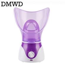DMWD MINI Face Cleaning Nano Sprayer Humidifier Portable Mist Maker Facial Nebulizer Steamer Hydrating skin care 110V-220V EU US 2024 - buy cheap