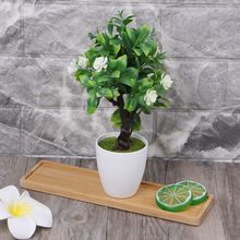 1PC Rectangle Shape Bamboo Wood Saucer Plant Tray Mini Plant Flower Pot Stand Favor Succulent Pot Tray Home Decor 2024 - buy cheap