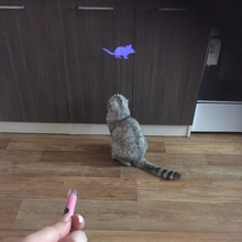 Amazingly Cat Toy Creative and Funny Pet Cat Toys LED Pointer light Pen With Bright Animation Mouse 2024 - купить недорого