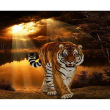 Tigre diamante Bordados diy diamante pintura mosaico pintura 3d do ponto da cruz fotos H504 diamant 2024 - compre barato