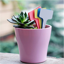 50pcs 6 x10cm Plastic Plant T-type Tags Markers Nursery Garden Decoration Tags for Plants Garden Decor Gardening Labels 2024 - buy cheap