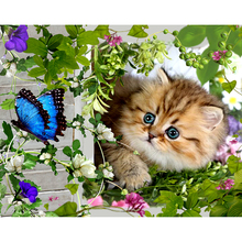 5D DIY Square Full Diamond Painting"Cat and butterfly"Diamond Embroidery Cross Stitch Rhinestone Mosaic Painting Home Decor 2024 - buy cheap