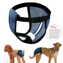 Pet Diapers Girl Dog Puppy Pants Pet Underwe Dog Physiological Diaper Dogs Sanitary Panties Shorts Pet Accessories 2024 - купить недорого