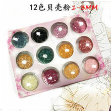 12 cores/conjunto, comprimidos de pó de concha de unha, concha esmagada para decorações de unhas, pó de glitter de acrílico 2024 - compre barato