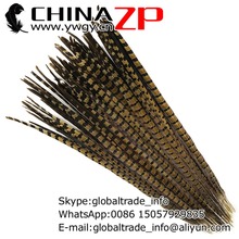 Chinazp fábrica com tamanhos grandes de 20 a 22 polegadas (50 a 55cm), penas naturais especiais de cauda de faisão 2024 - compre barato