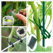 50pcs/lot Vines Fastener Plant Grafting Clip Tomato Vegetable Garden Support Agricultural Greenhouse Supplies For Trellis Twine 2024 - buy cheap