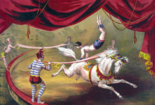 perfact 36x24 oil painting handpainted on canvas"Circus Horse Acrobat 2024 - buy cheap