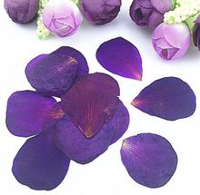 250pcs Pressed Dried Flower Peony petals Filler For Epoxy Resin Pendant Necklace Jewelry Making Craft DIY Accessories 2024 - buy cheap