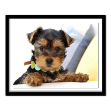 animal Diamond Embroidery Yorkshire Terrier 5d diy Diamond Painting dog Cross Stitch Diamond ,mazayka,diamond pattern,gift 2024 - buy cheap