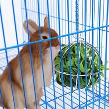 Stainless Steel Pet Toys Round Sphere Feed Dispense Exercise Hanging Hay Ball Guinea Pig Hamster Rat Rabbit c50 2024 - buy cheap