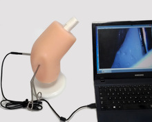 Simulador de artroscopia ortopédica, aparelho de ensino de artroscopia do joelho com simulador de artroscopia 2024 - compre barato