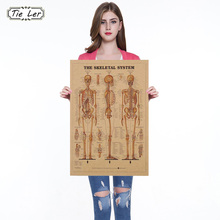 The Skeleton of The Body Structure Nervous System Poster Bar Home Decor Retro Kraft Paper Painting 42x29cm Wall Sticker 2024 - buy cheap