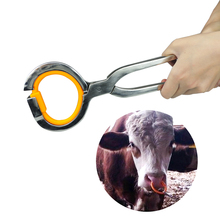 Alicate de nariz para gado e gado, 10 peças, anel de aço inoxidável, braçadeira de instalação de anéis para gado, cavalos, ferramentas de fazenda 2024 - compre barato