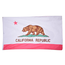 90x150 см Флаг Калифорнии флаг США полиэстер флаг для наружного и внутреннего размещения новые флаги США красивый висячий флаг 2024 - купить недорого