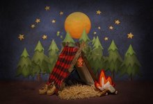 Camping Lumberjack Tent Night Hiking flame Forest full Moon moon tree backdrop   Computer print party background 2024 - buy cheap