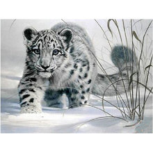 New 5d diy diamond painting leopard snow full square 3D diamond painting cross stitch animal diamond mosaic Christmas gift 2024 - buy cheap