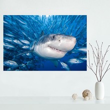 Customizable Shark Animal Poster Wall For Living Room Art Poster Decoration Silk Fabric Bright Smooth No Frame Morden Print Wall 2024 - buy cheap