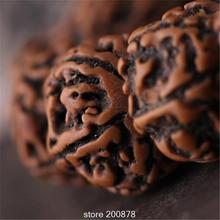 10PCS Tibetan Old Oiled Rudraksha Bodhi Beads Nepal Kingkong Bodhi Oblate beads TSB0017  2024 - buy cheap