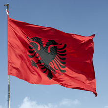 Висит Государственный Флаг Албании и Тыква офисные активности парад фестиваль украшения дома флаги 150*90 см 2024 - купить недорого