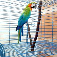15 см Pet Parrot деревянная вилка дерево ветка стойка игрушка хомяк ветка перчи для птицы Клетка для попугая игрушки 2024 - купить недорого