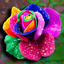 Flores de diamante de rosa 7 cores bordado 5d diy, pintura de diamante ponto cruz colorido flores, mosaico de pintura de strass 2024 - compre barato