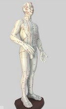 Modelo de acupuntura humana chinesa-inglesa de 60cm, modelo de pontos de acupuntura corporal, meridiano (inglês) 2024 - compre barato