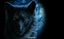 LIPHISFUN Алмазная картина вышивка полная дрель домашний декор квадратная/круглая Вышивка крестом DIY животное Черный волк Темный 2024 - купить недорого
