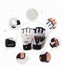 Taekwondo & Karate Glove WTF approved plam hand protector taekwondo Gloves Martial Arts Sports Hand Guard Boxing Protective Tool 2024 - buy cheap