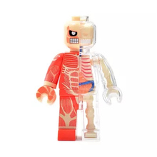 4D Fashion brick man Intelligence Assembling Toy Assembling toy Perspective Anatomy Model  DIY Popular Science Appliances 2024 - buy cheap