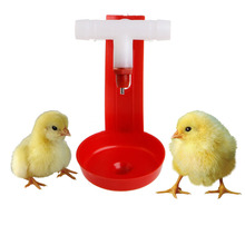 Copos para água de aves, decoração de plástico, para pendurar 2024 - compre barato