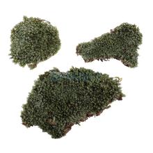 Green Lichen Moss Model Layout for 1/35 Scale Military Armor Landscape Props 2024 - buy cheap