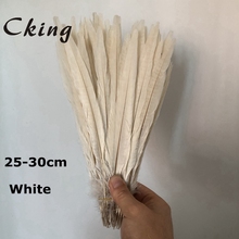 Cking 100pcs/lot White Bleached ringneck pheasant tails Feather 25-30cm 10-12inch lady amherst pheasant plumes carnival craft 2024 - buy cheap