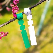 50 Pcs Home Garden Supplies Ring Set Label 20cm Plant Label PVC Waterproof Gardening Colorful Label Plant Flower Markers 2024 - buy cheap