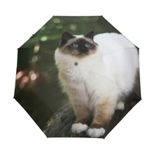 Cat Birman Printed Automatic Umbrella Fashion Painting Parasol Beach Umbrellas Sun/Rain Women Umbrella Men Rain Women 3 Folding 2024 - buy cheap