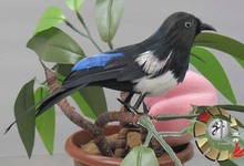 about 15cm simulation bird Magpie toy model creative garden decoration gift h1058 2024 - buy cheap