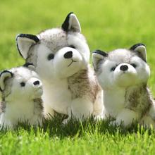 20cm Husky Plush Toy Puppy Stuffed Toys Cute Simulation Husky Dog Plush Toys Stuffed Doll Kids Baby Toys Plush Husky Doll 2024 - buy cheap