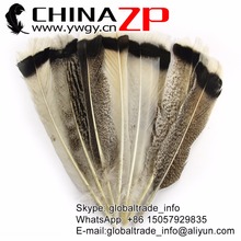 CHINAZP venta al por mayor 50 unids/lote 10 "-12" precioso pavo salvaje Natural pisos plumas artesanía pintura Fly Material 2024 - compra barato