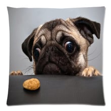 Pug Dog two side printed peach skin fabric cushion cover,Christmas/home/car/sofa/bed cushion decorative 18"x18" 2024 - buy cheap